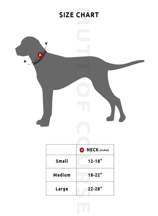 Mutt of Course منديل "مات أوف كورس" للكلاب (وردي) (صغير) - Image 4